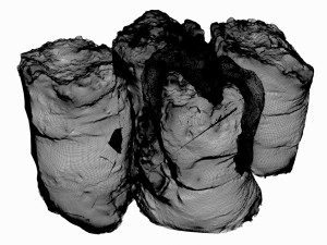 sack of concrete 3D 模型