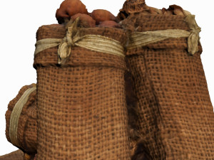 sack of nuts 3D Model