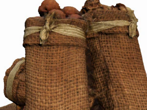 sack of nuts 3D Model