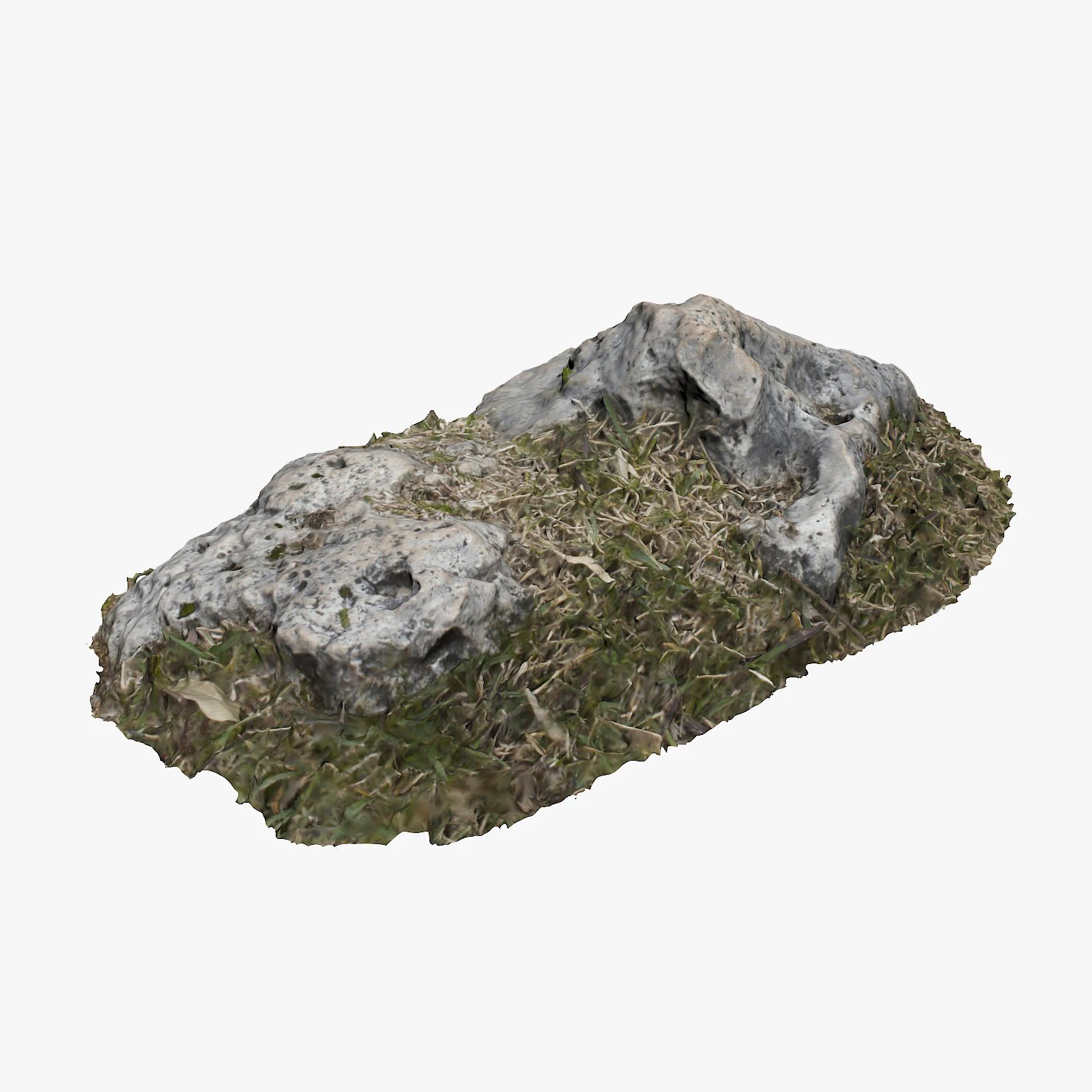 3d grassy rock 3D Model .c4d .max .obj .3ds .fbx .stl .blend 