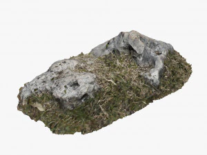 3d met gras begroeide rots 3D Model