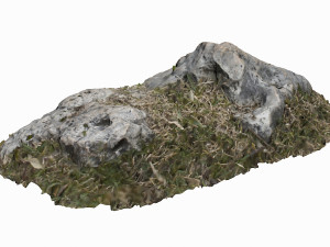 3d grassy rock Modello 3D