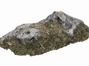 3d grassy rock 3D Model