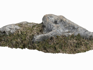 3d grassy rock Modello 3D