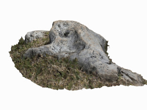 3d grassy rock Modello 3D