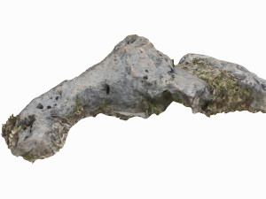 3d grassy rock Modello 3D