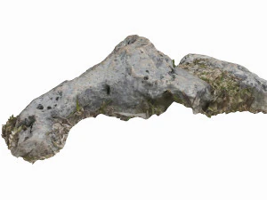 3d grassy rock 3D Model
