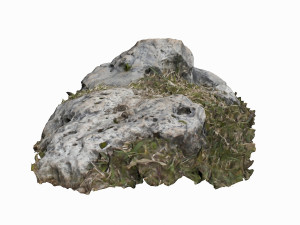 3d grassy rock Modello 3D