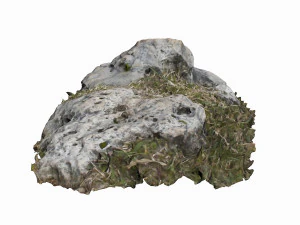 3d grassy rock 3D Model