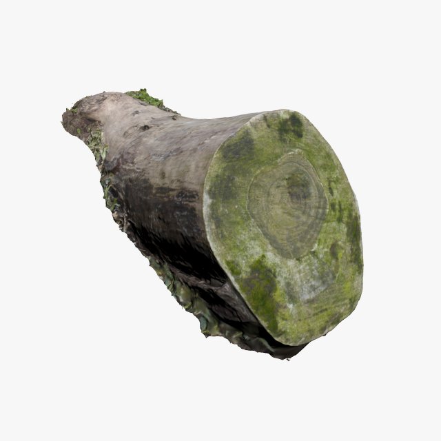 mossy log 3D Model .c4d .max .obj .3ds .fbx .stl .blend 