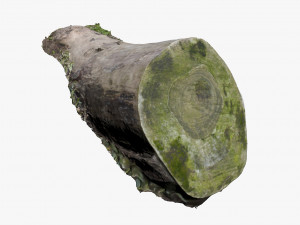 mossy log Modelo 3D
