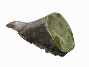 mossy log 3D Model