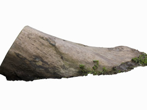 mossy log 3D Model