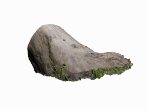 mossy log 3D Model