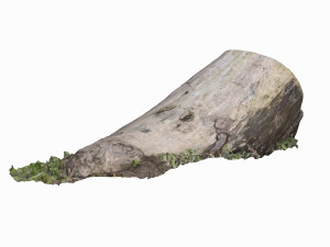 mossy log 3D Model