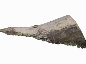 mossy log 3D Model