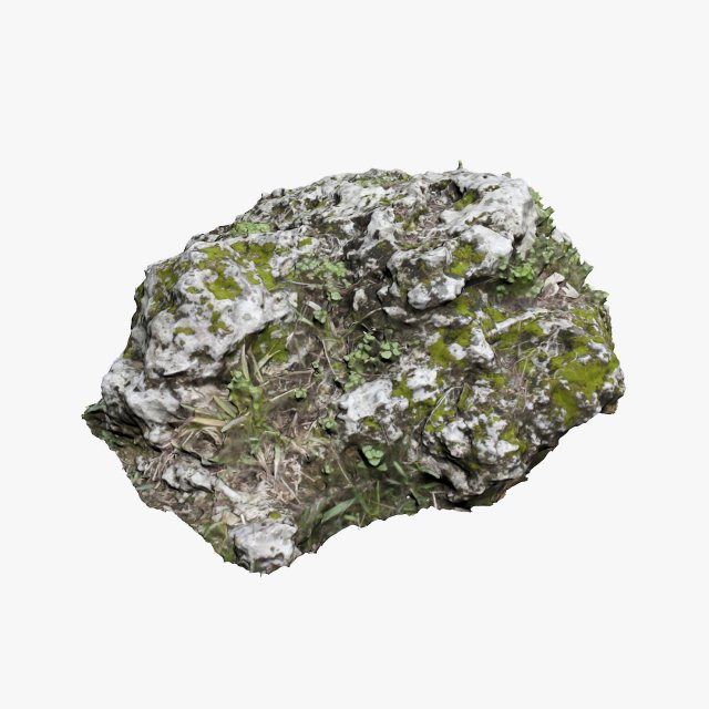 mossy rock 3D 模型 .c4d .max .obj .3ds .fbx .stl .blend