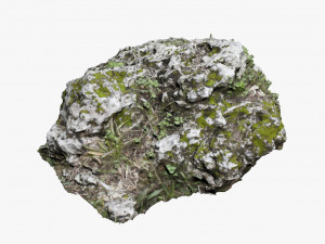 mossy rock Modelo 3D