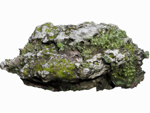 mossy rock 3D 模型