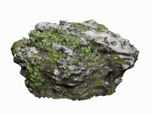 mossy rock 3D 模型
