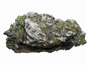 mossy rock 3D 模型