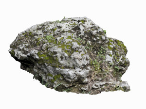 mossy rock 3D 模型