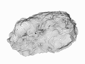 mossy rock 3D 模型