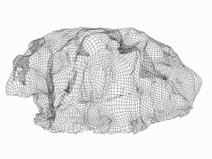 rock Modelo 3D