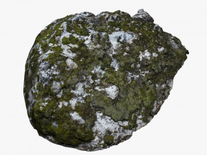 mossy rock 3D 모델
