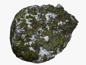 bemoste rots 3D Model