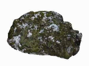 mossy rock 3Dモデル