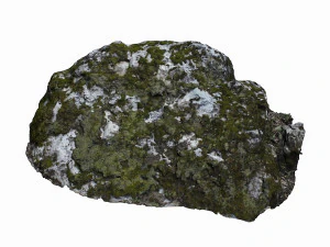 mossy rock 3D Model