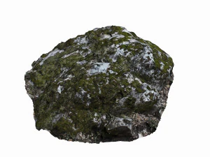 mossy rock 3D Model