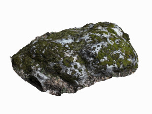 mossy rock 3Dモデル
