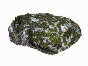 mossy rock 3Dモデル