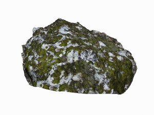 mossy rock 3Dモデル