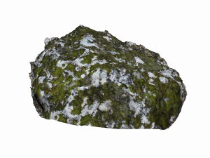 mossy rock 3D Model
