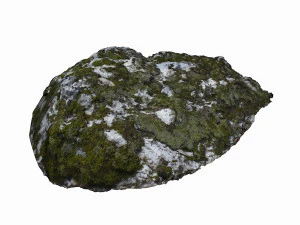 mossy rock 3D Model