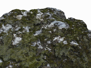 mossy rock 3Dモデル
