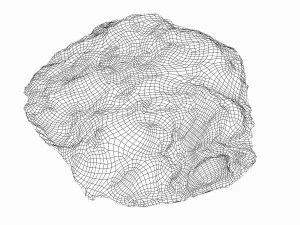 mossy rock 3D Model