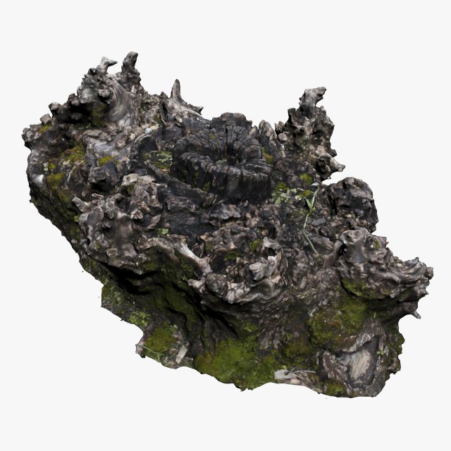 tree stump 3D Model .c4d .max .obj .3ds .fbx .stl .blend 