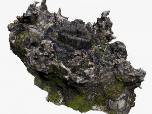 tree stump Model 3D