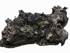 tree stump 3D Model