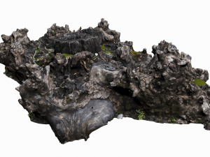 tree stump 3D Model