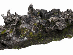 tree stump 3D Model
