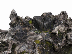 tree stump 3D Model