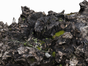 tree stump 3D Model