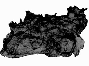 tree stump 3D Model