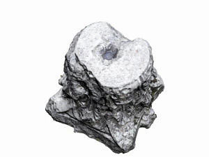 ancient ruin 3D Model