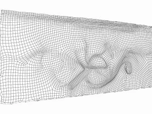 relief wall 3D Model